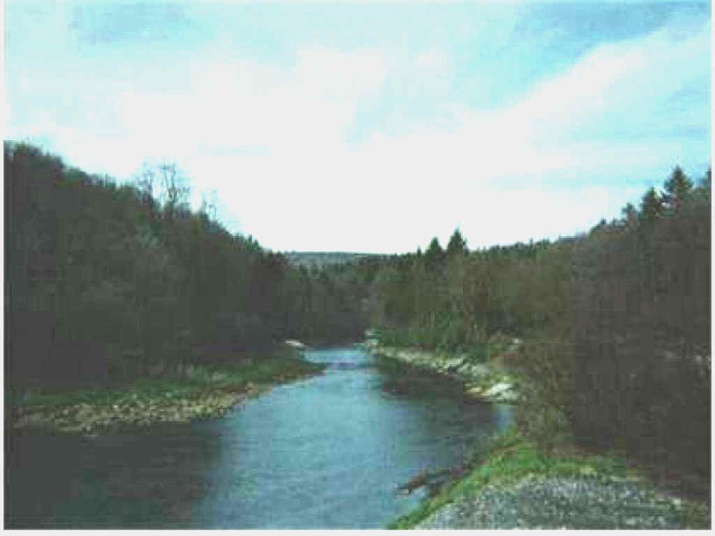 Shavers Fork